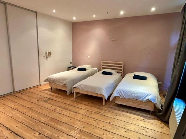 House Of Antwerp- 4Bdr W Private Garden Vakantiehuis Antwerpen